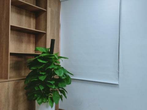 Thi công rèm cuốn văn phòng